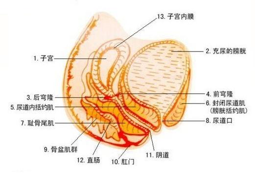 其他疾病圖片介紹